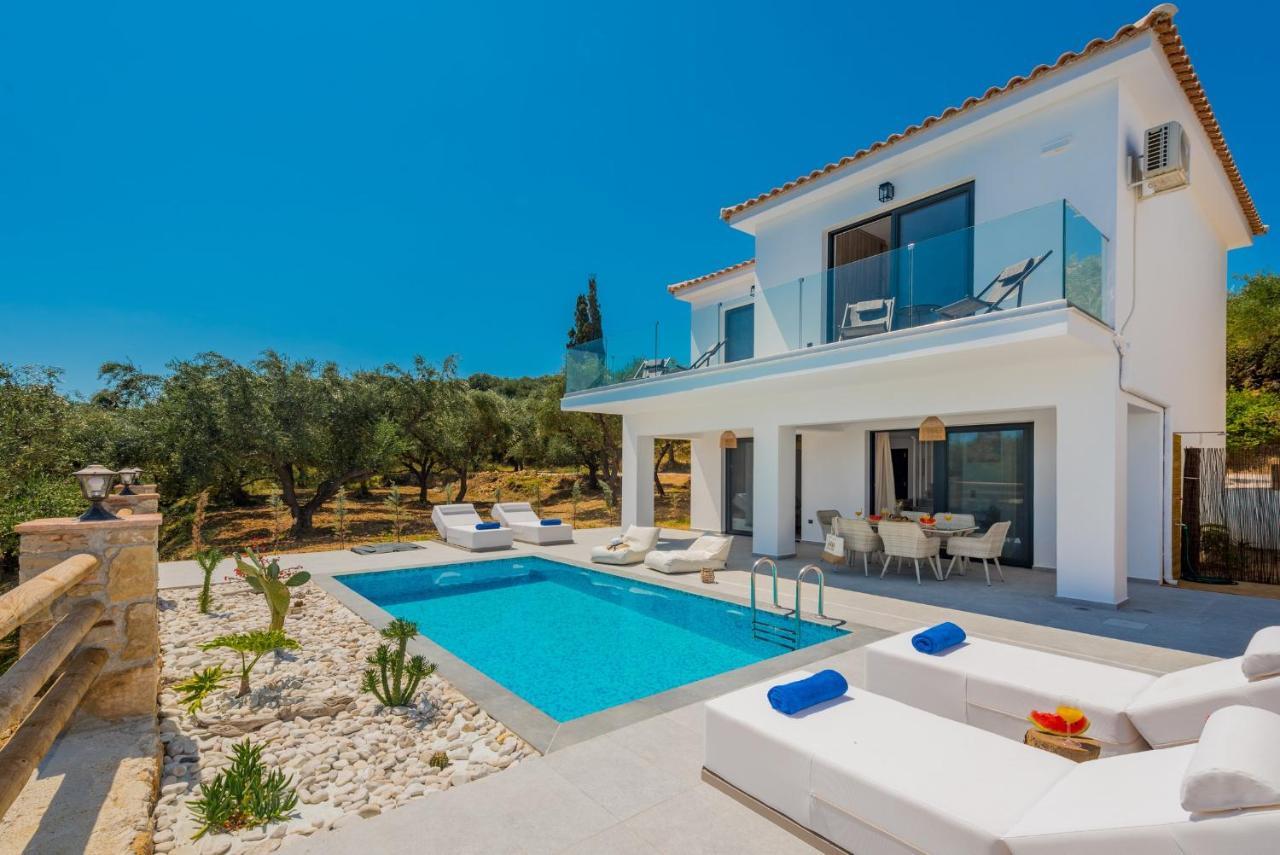 Queen Of Zakynthos Luxury Villas Amúdi Kültér fotó